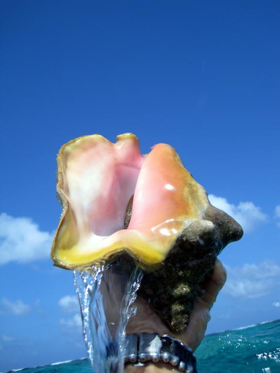 Caye Reef Condos Caye Caulker Dış mekan fotoğraf